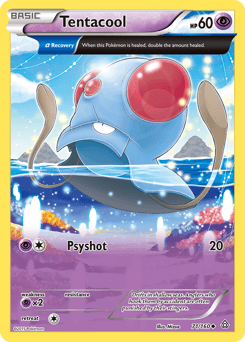 Tentacool - Normal